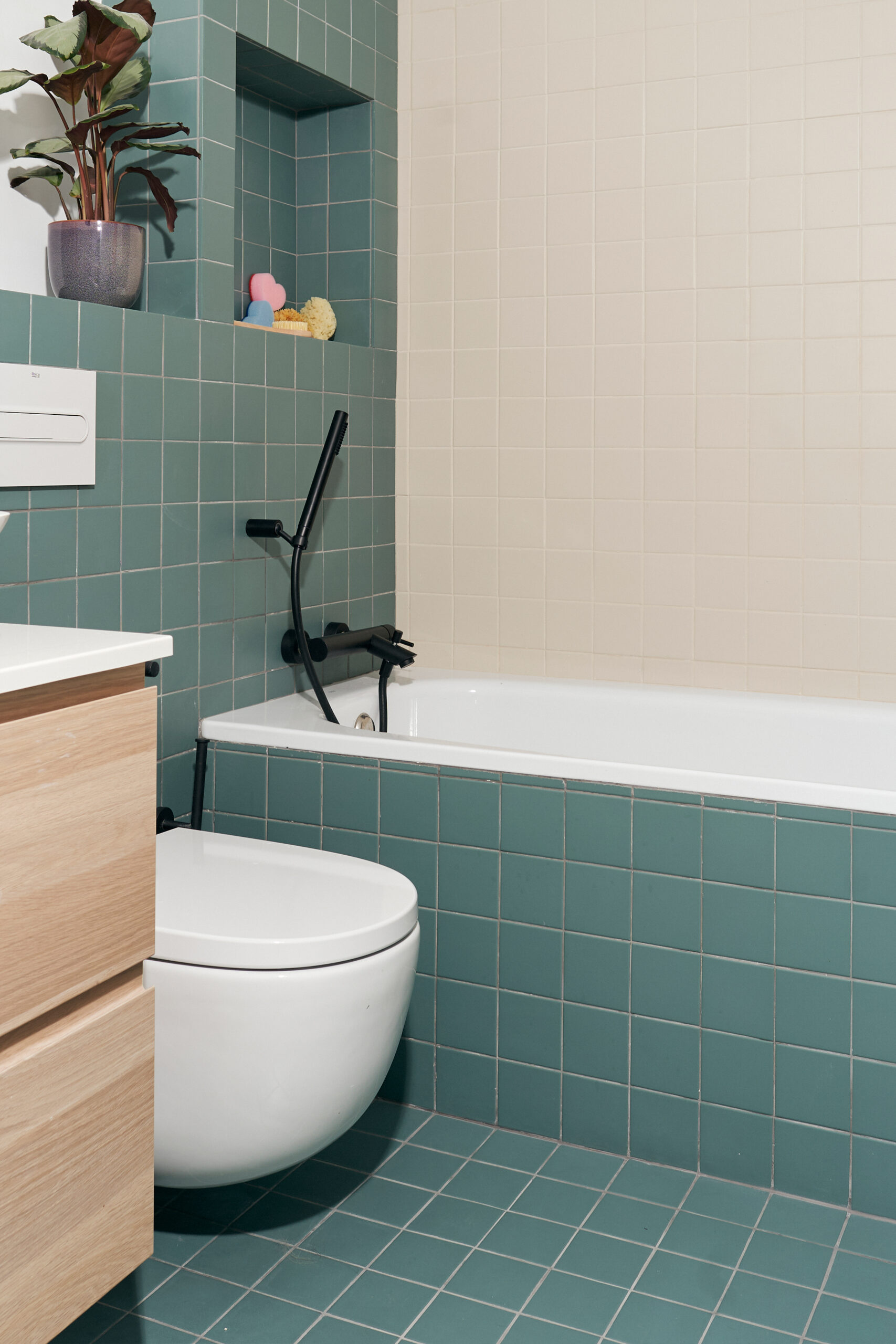 Casa naturalista - ema