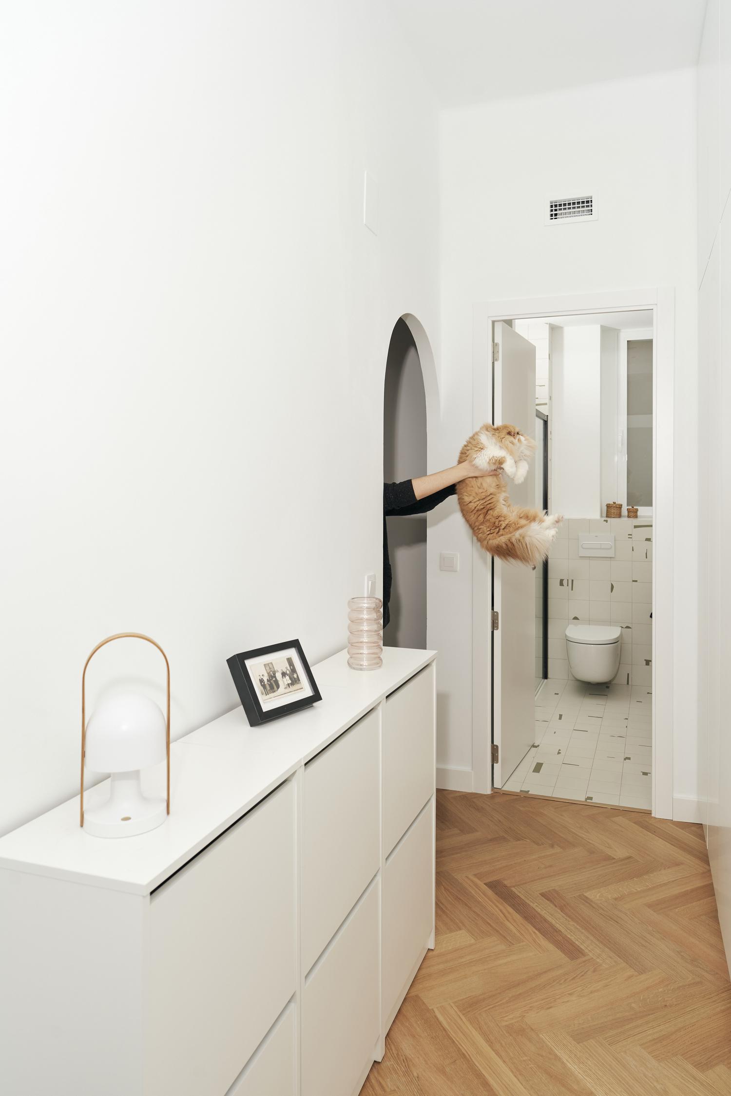 Casa naturalista - ema