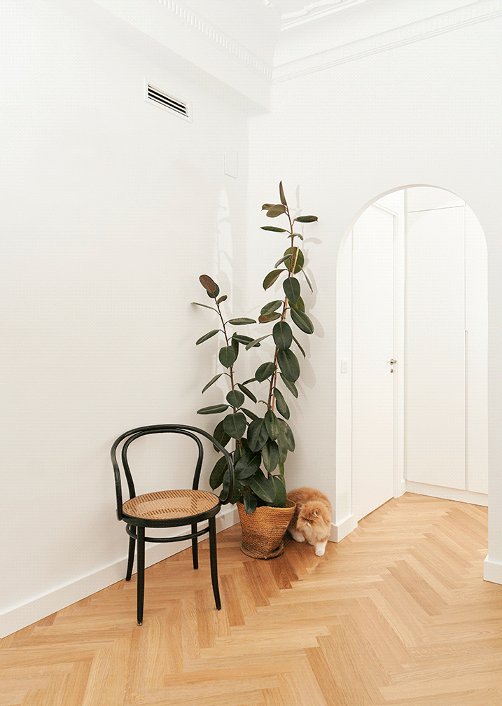 Casa naturalista - ema