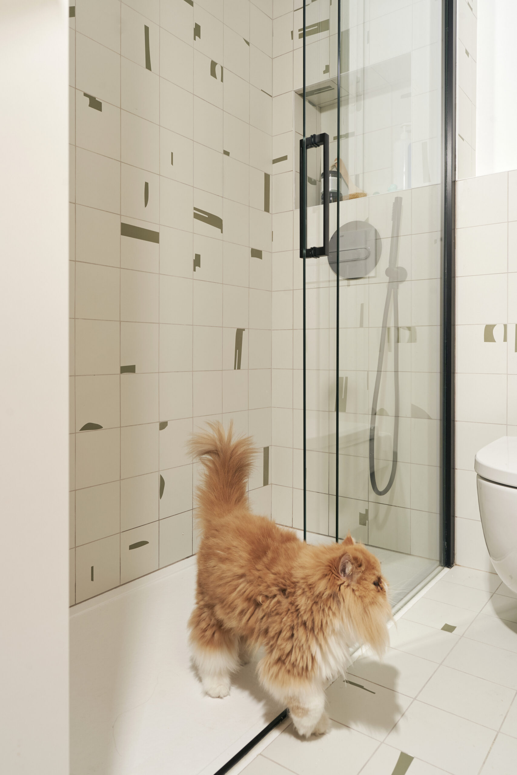 Casa naturalista - ema